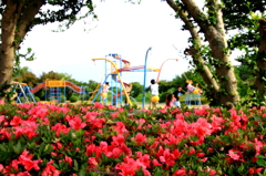 残したい風景
