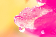 水玉の世界３