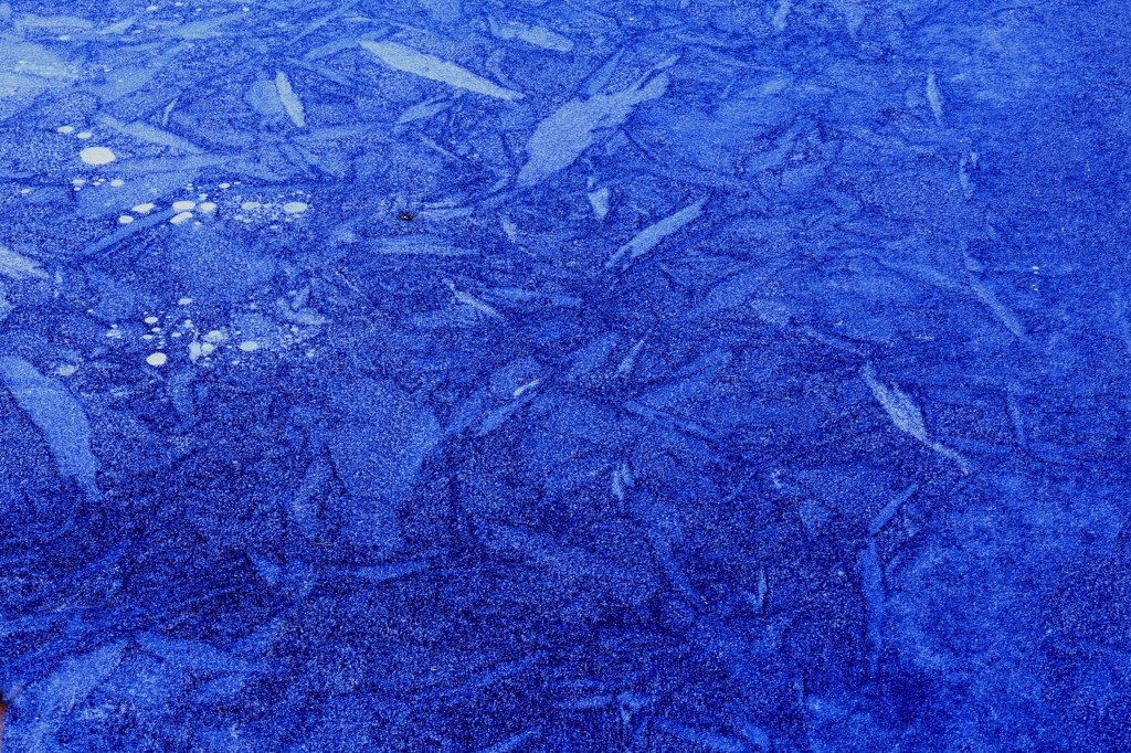 氷葉