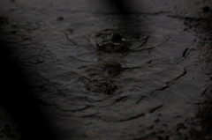 雨の足跡