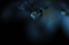 水の世界