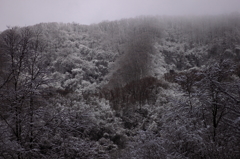 四月の雪山
