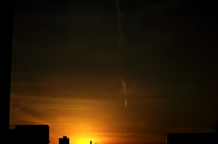 ハーブ庭園の帰りにて。