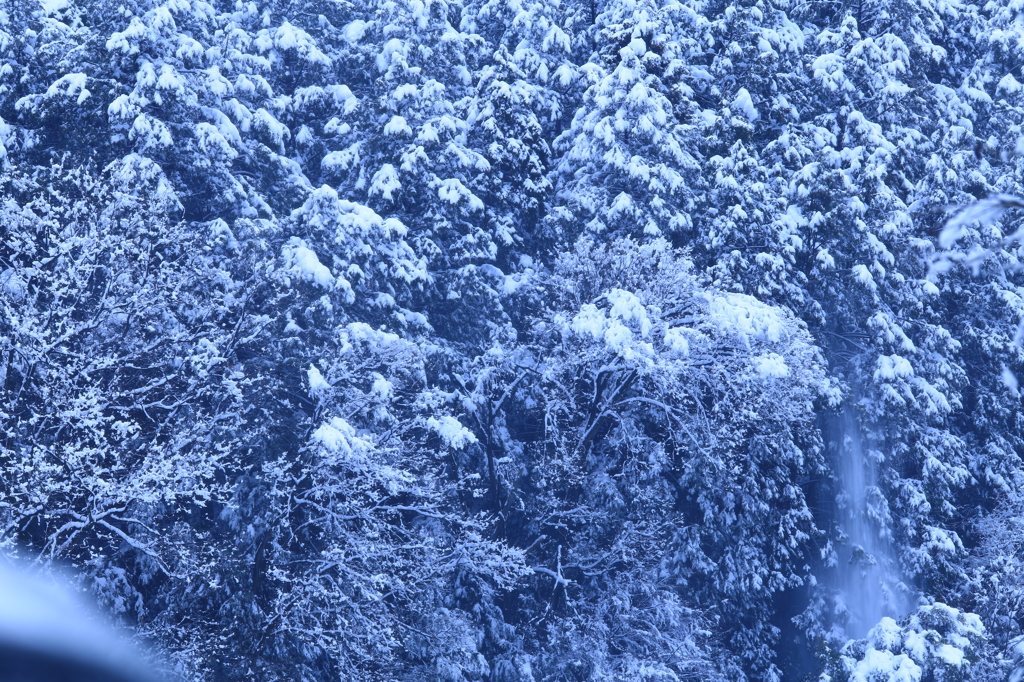 雪流れる