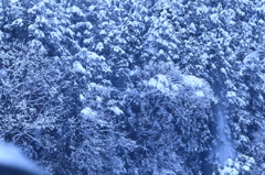 雪流れる