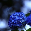梅雨入り。