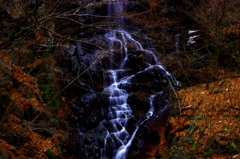 秋~冬~春まで、もお少し。