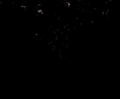 蛍の世界１