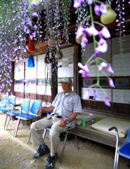 三尺藤のご主人