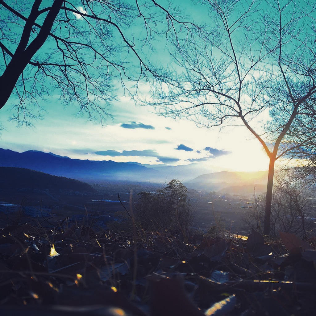 morning