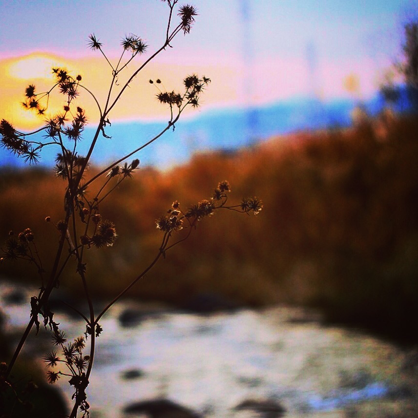 今日も、お疲れ様