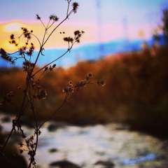 今日も、お疲れ様