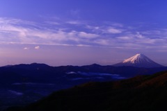 朝目覚めて