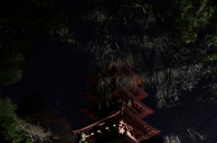 見守られて