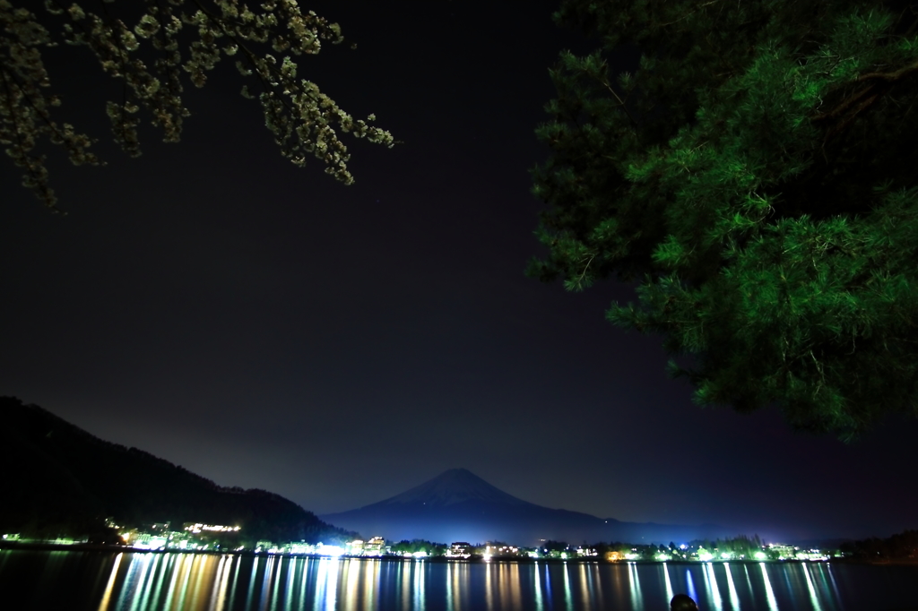 松桜富士