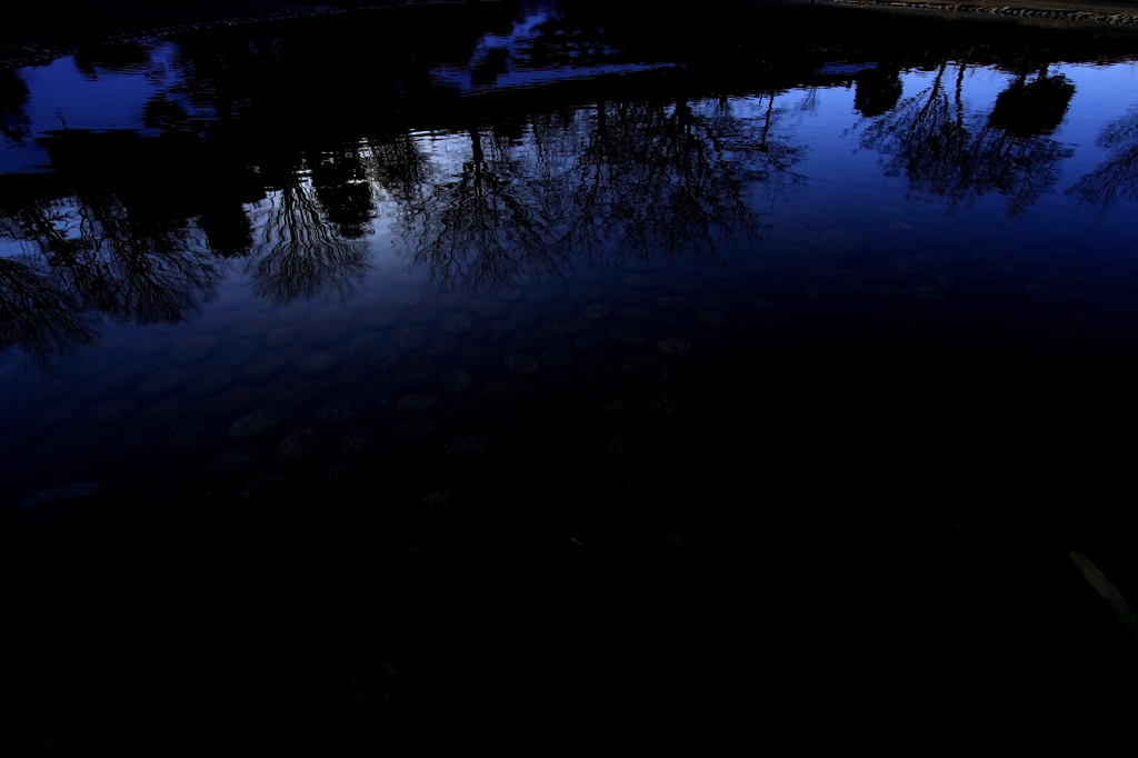 水が暮れの郷