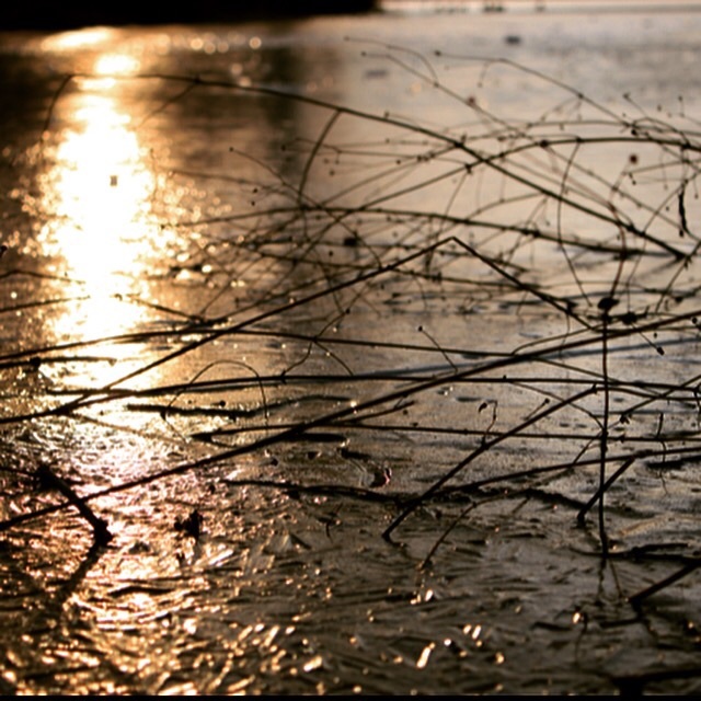 寒さの向こうに暖かい未来がある！