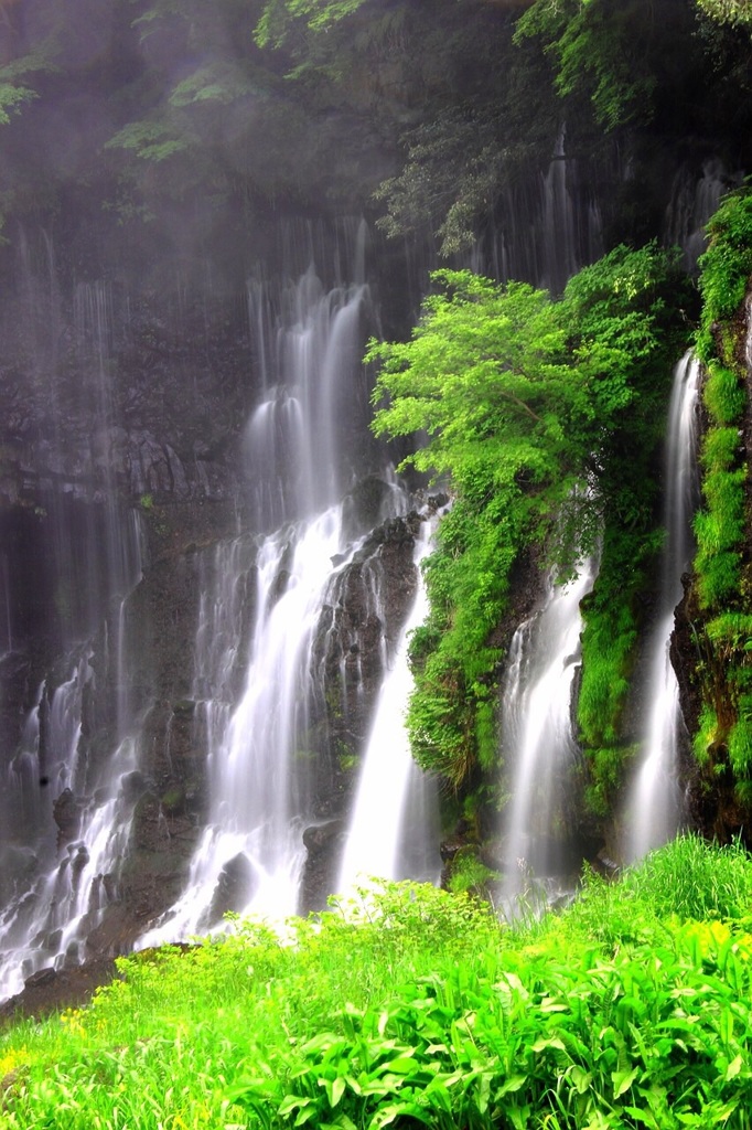 白糸の滝