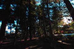 その先に、、、