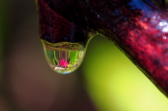 水玉の世界