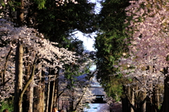 決めたら、進む道