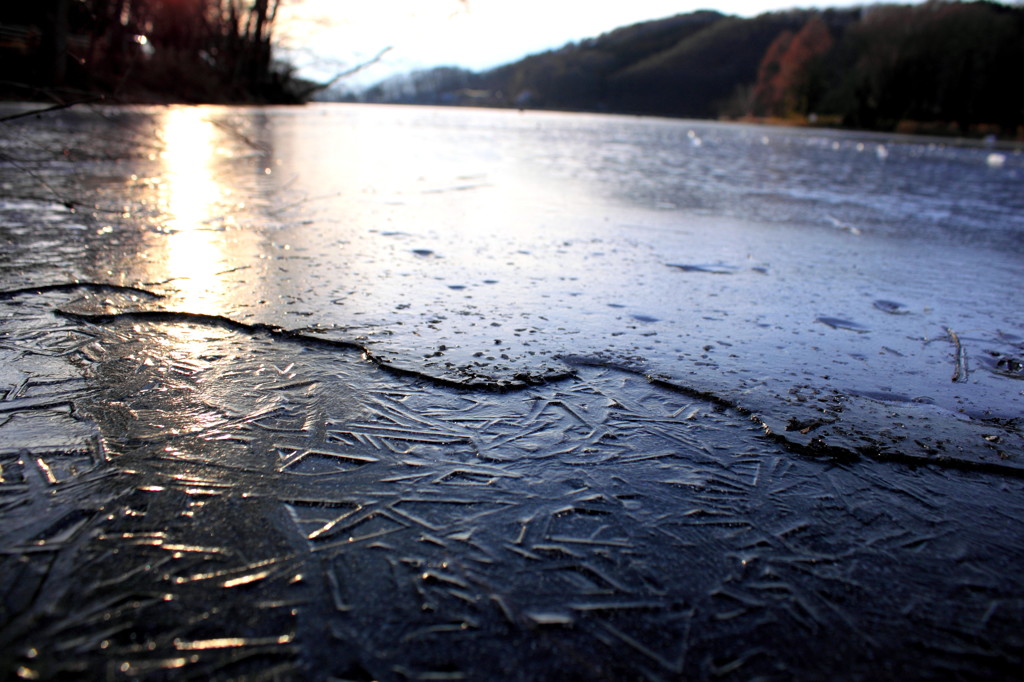寒さの向こうに暖かい未来がある！2