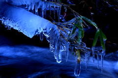 氷結