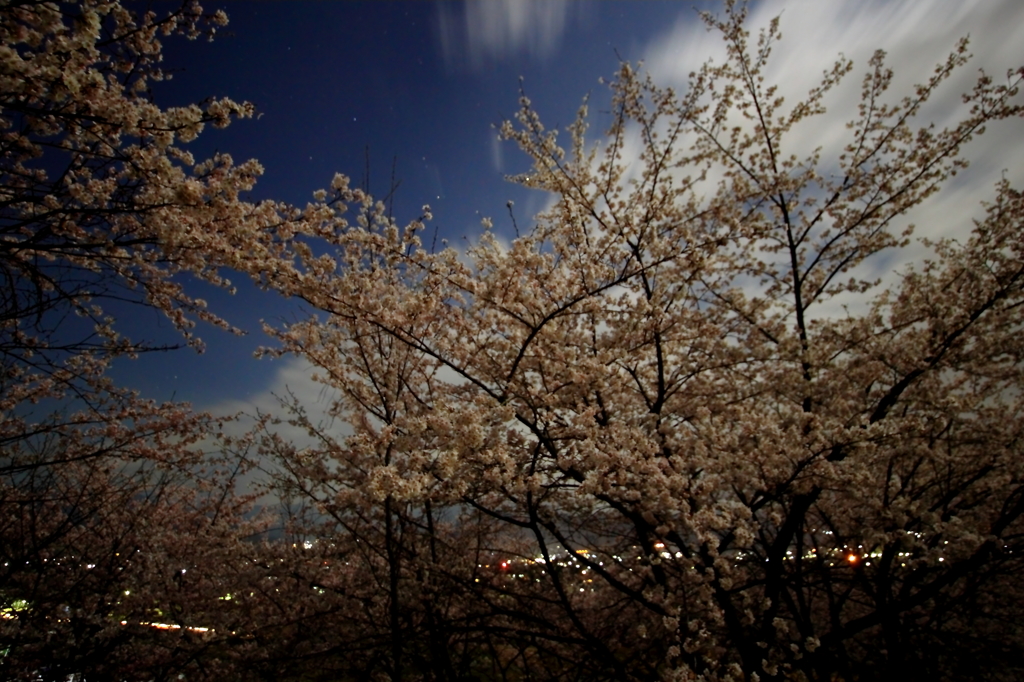 夜のメンズ