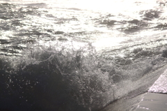 海の魅力