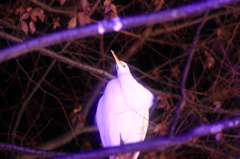 起こしちゃてね