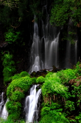 白糸の滝２