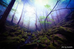 木霊