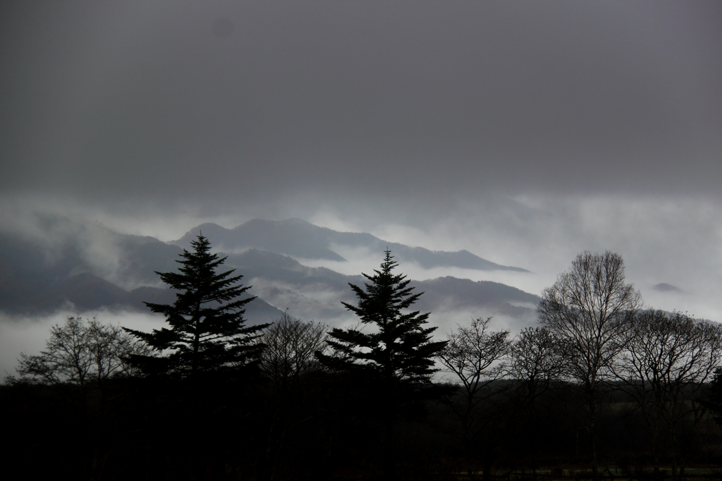 雨の山