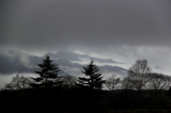 雨の山