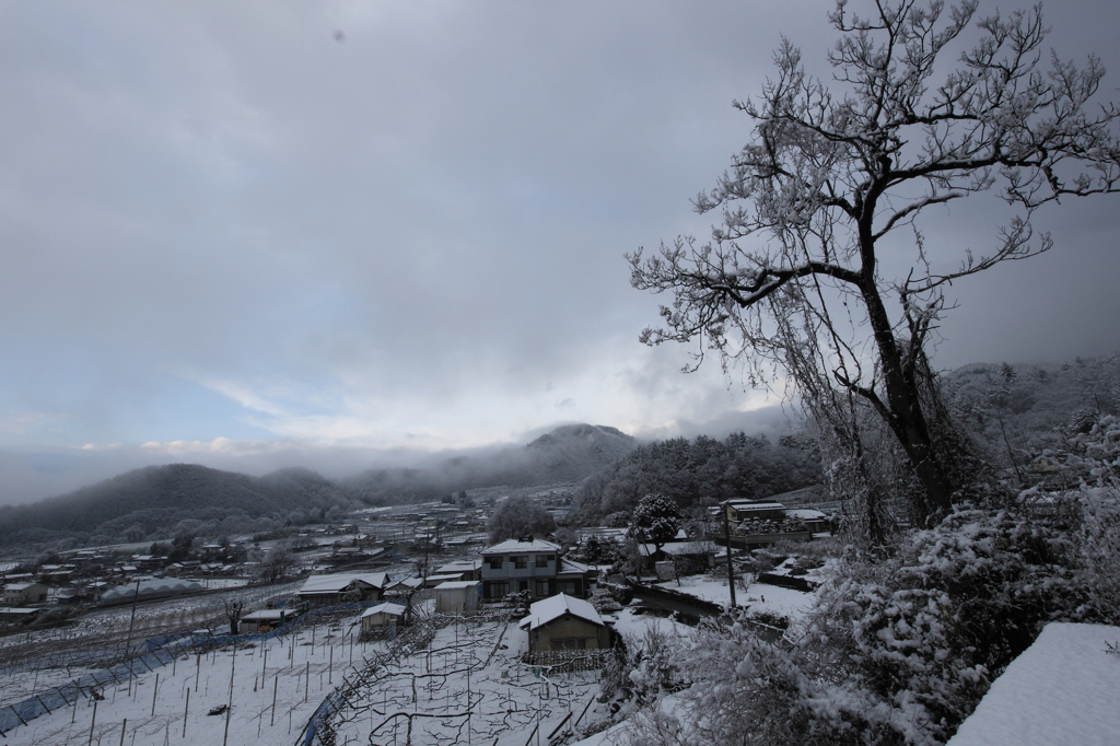 アナと雪の盆地