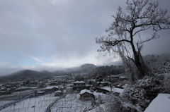 アナと雪の盆地