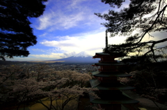 富士