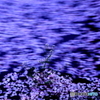 時の流れ