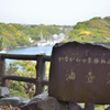 脇道から覗く