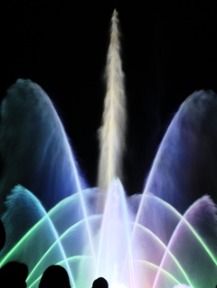 DSCF0525