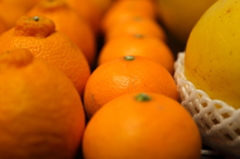 和歌山の柑橘類達！