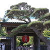 長谷寺