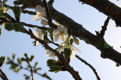その2