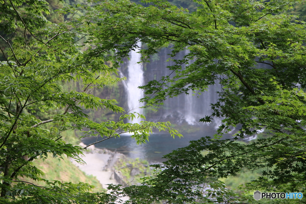 白糸の滝