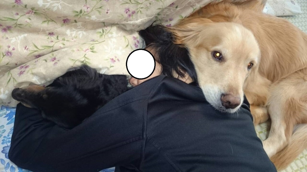 犬　人　犬