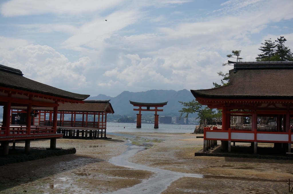 世界遺産の干潮