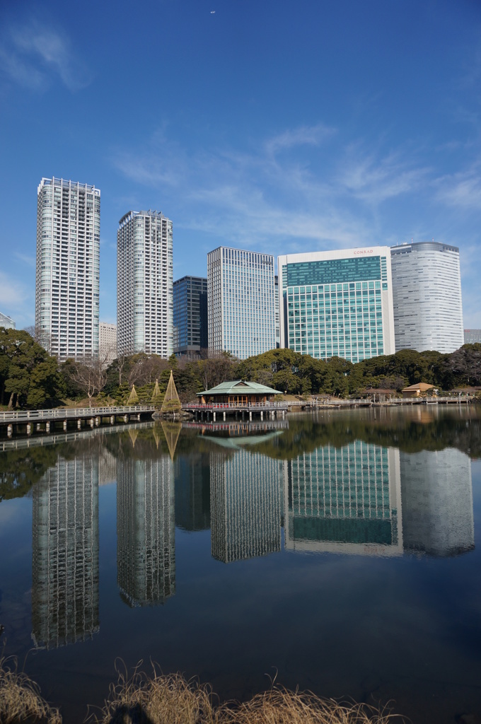 建国記念日の浜離宮
