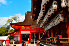 八坂神社、もう止められない