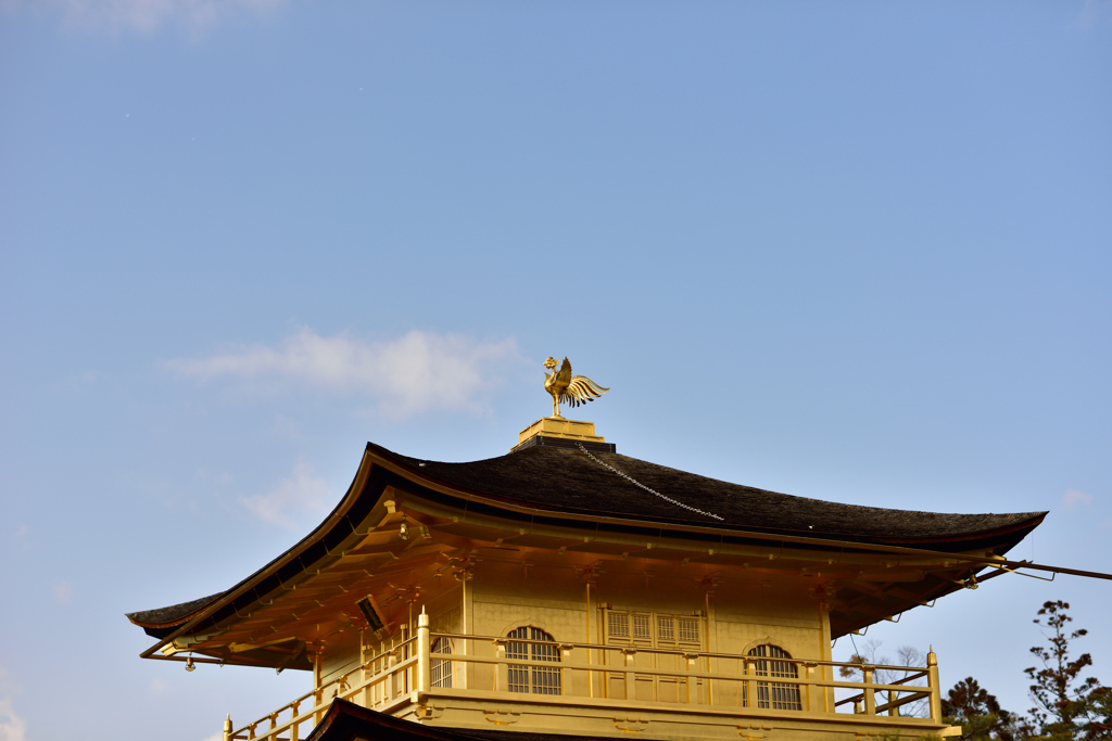 望み、