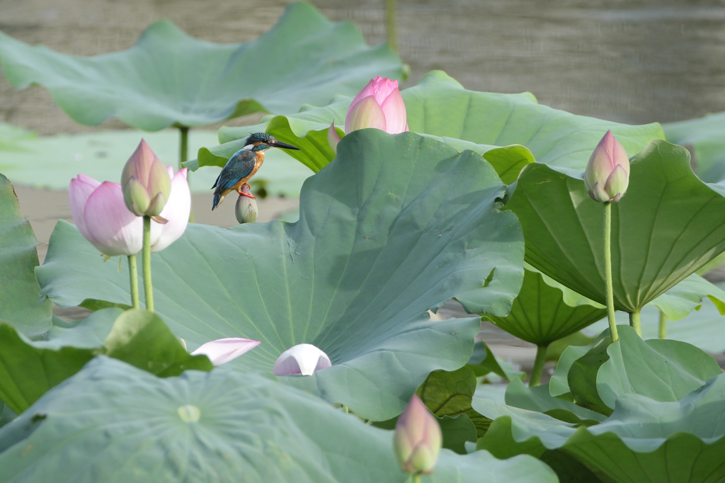 両手に花